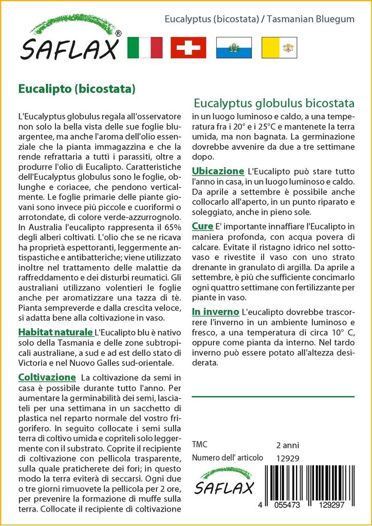 SAFLAX Тасманская голубая резинка - 100 семян - Eucalyptus globulus