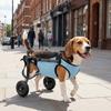 Adjustable Pet Wheelchair Cart Comfortable Dog Mobility Scooter  Disabled Dogs Cat