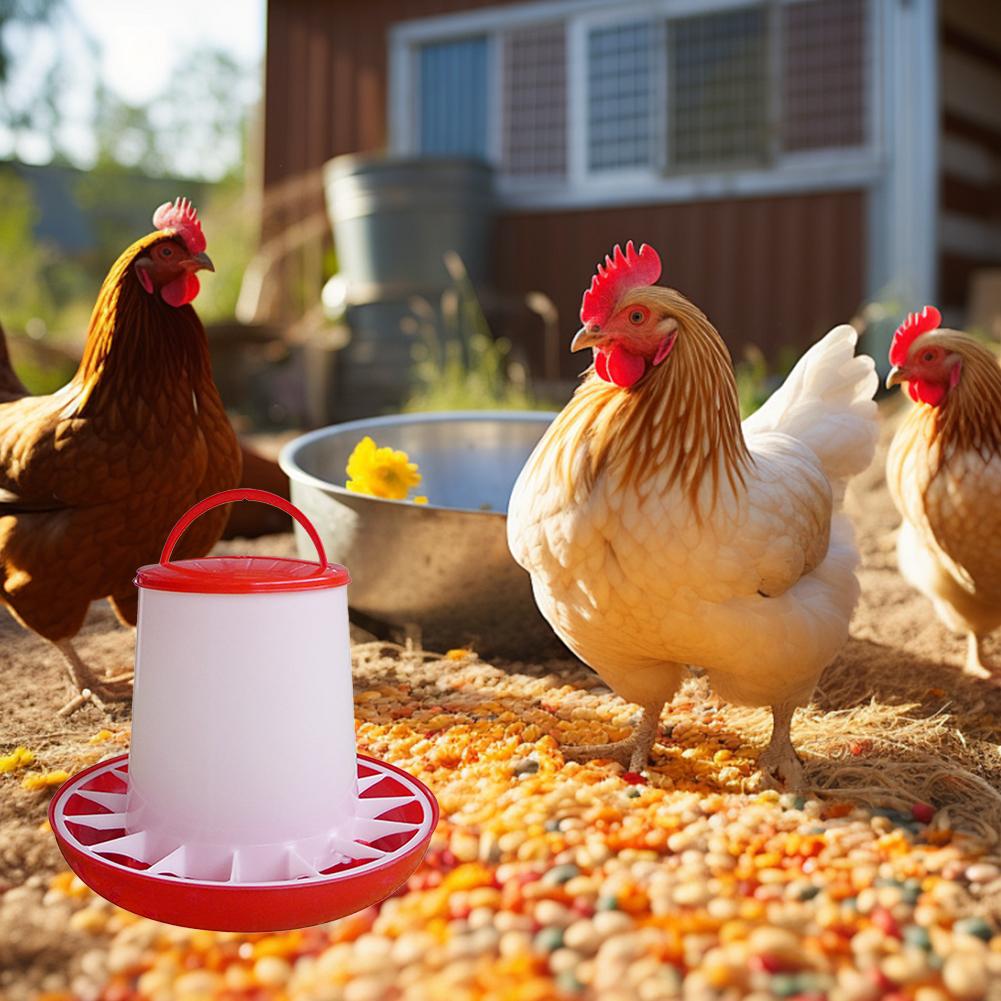 1КГ Автоматическая кормушка для кур Ведро Петух Курица Кормление Сельскохозяйственное животное Устройство, Принадлежности Птица Qu G2E3