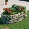 Gabion Raised Bed Galvanized Iron 200 x 100 x 50 cm