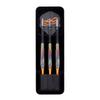 DYNASTY TRIPLEIGHT charm3 THORN Charm 3 Thorn Rainbow95 2BA Ikuko Takeyama Player Model Dart Barrel Dart Set