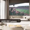 Panasonic PT-LMW420C Laser Projector (CN version)