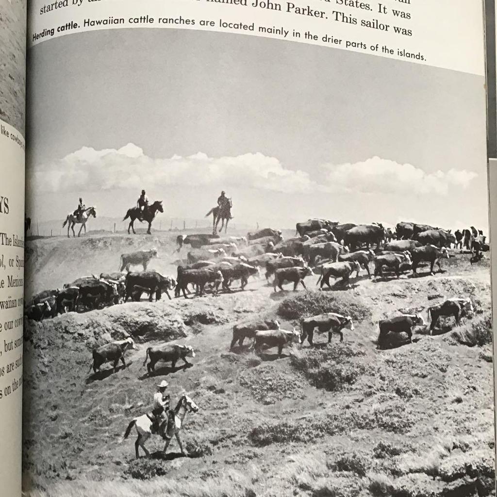 [Б/У] Старые книги о Гавайях, Иностранные книги и альбомы, Гавайи, Винтаж