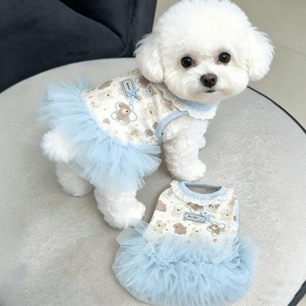 Blue Color Teddy Dog Skirt Cute Style Princess Dress New Summer Dog Dress for Small Dogs