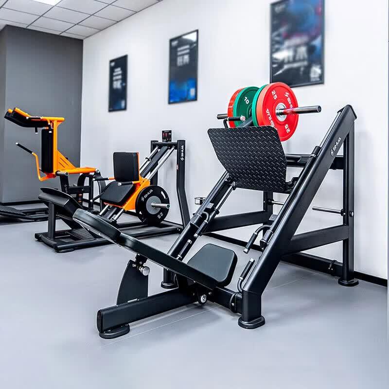 Shuhua Plate-Loaded Leg Press & Squat Trainer