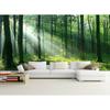 Green Woodland Wallpaper Forest Mural Foggy Forest Tree Wallpaper Nature Landscape Wall Murals For Bathroom Living Room Home Decor Mural