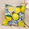 Lemon Art Design fashion Cushion Cover Silky Short Plush Invisible Zipper Dustproof Sofa Pillow Case for Home Decor