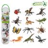 Collector Mini Insect Set of 12, Popular Toys In Korea