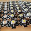 High Power Aluminum Substrate PCB Heat Sink White 20mm LED Beads LED Bulb LED Lamp Chip LED Light