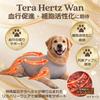 WAG WELL TOKYO x Терагерцовый Топ для Восстановления Собаки, Органический Хлопок, Серый, Средний, Прохладный