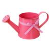 New Lightweight Plant Watering Can Sprinkler Head Rust Resistant Watering Pot Gingham Ribbon Garden Watering Can Indoor Plants