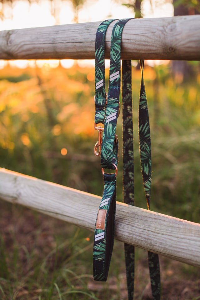 Reversible Leash 2 X 240 Forest Gold