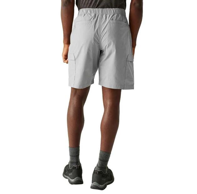 Regatta Mallen Shorts