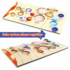 Wooden Planet Puzzles Parish Learning Montessori Toys Kids Moon Phase Change Cognitive World Map Matching Game for 3-6 Years Old