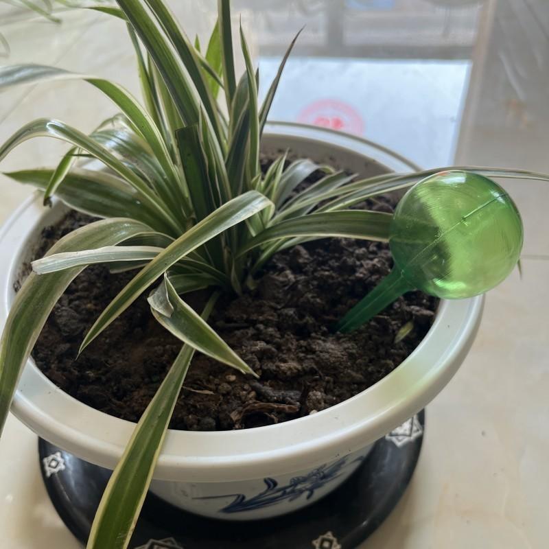 Полив Цветка Имитация Стекла Ленивый Круглый Растение Цветок Контроль Капля Капельный Полив Открытый Сад Поливные Аксессуары