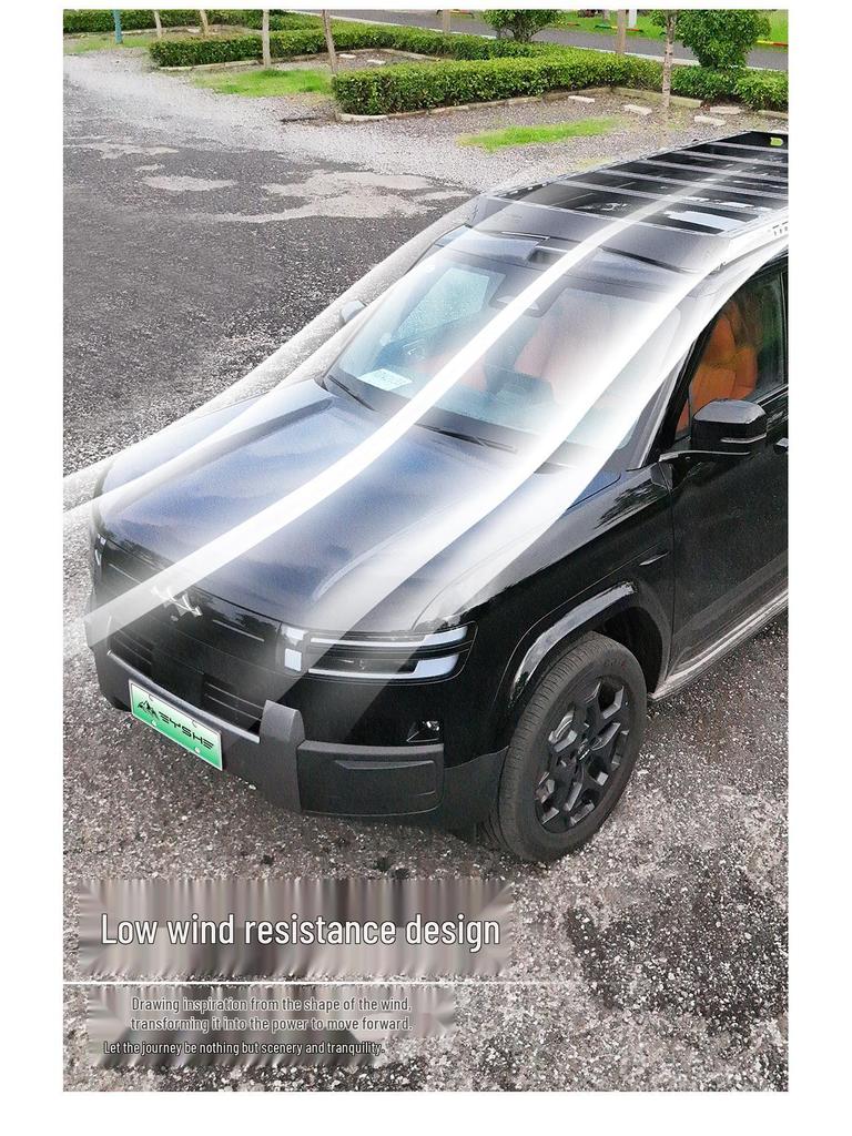 Formula Leopard Titanium 7 Черная Пантера Багажник на крышу Боковая лестница и Расширение-броня