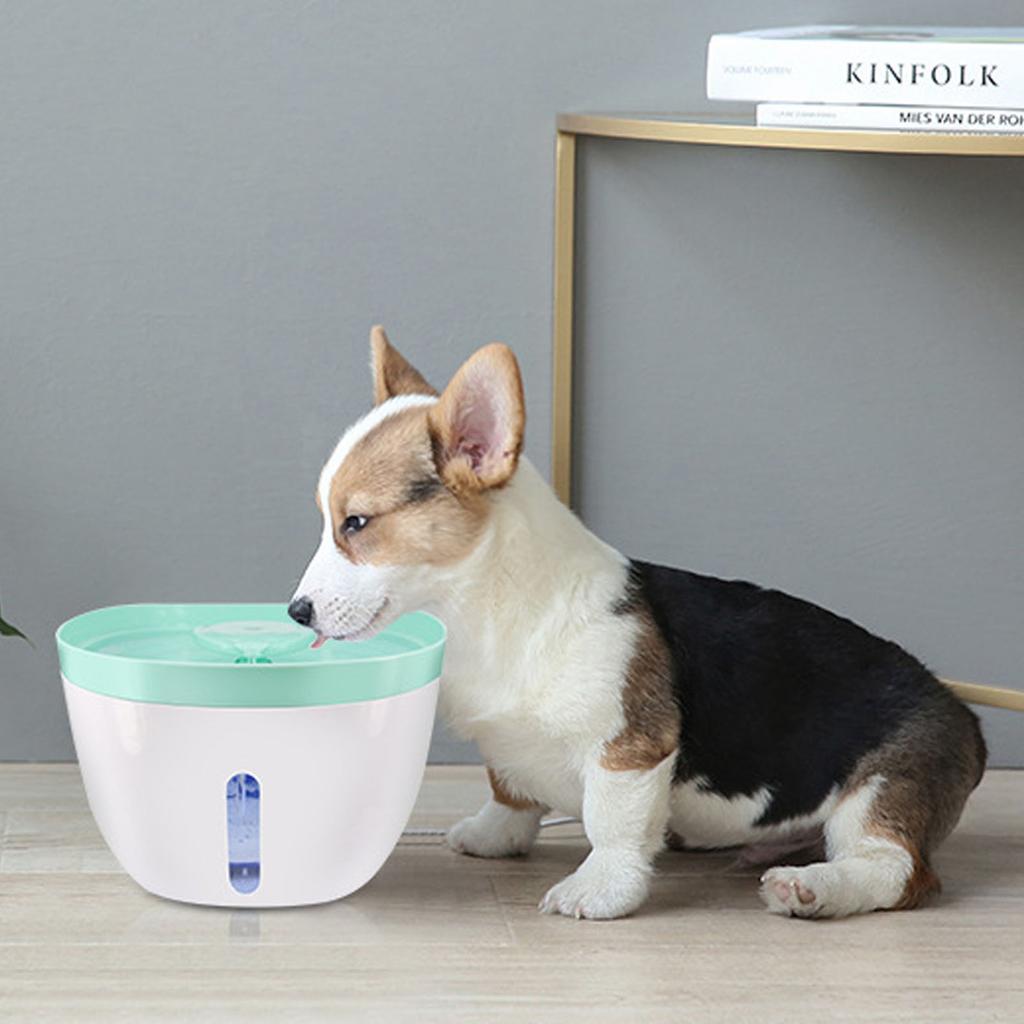 2.2L Cat Water Fountain PP Циркуляционный фильтр Питьевой фонтан для домашних животных с фильтром