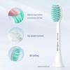 Philips Sonic Electric Toothbrush