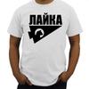 Boys Summer Tops Men T Shirt Kate Bishop Grunge Shirt T-Shirt Sweat Shirts Summer Tops Sweat Shirt Mens Clothing
