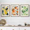 Boho Kitchen Fruit Citrus Lemon Orange Posters Prints Canvas Painting Botanical Wall Art Pictures for Living Room Home Decor
