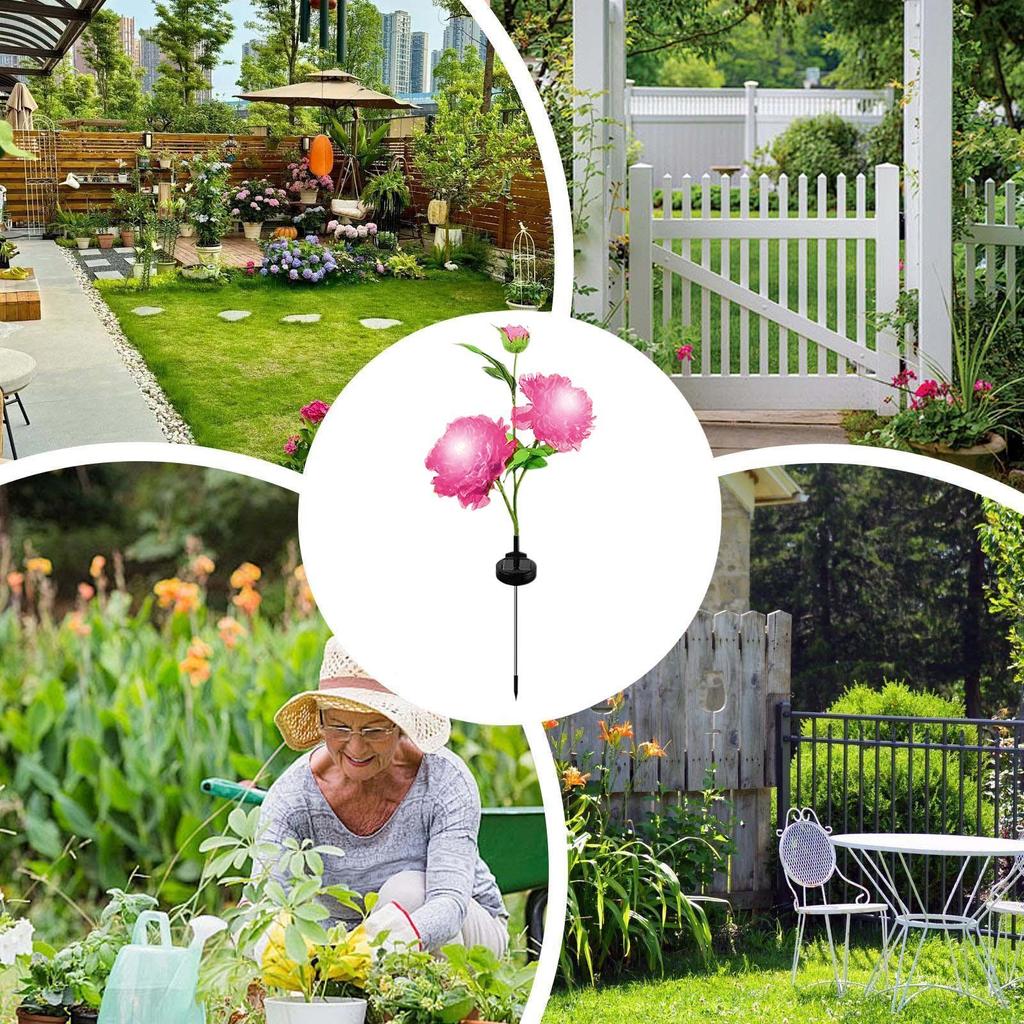 Solar Flowers Outdoor Waterproof Artificial Peony Waterproof Solar-Powered Flower Stake Light For Courtyard Balcony Lawn Pathway