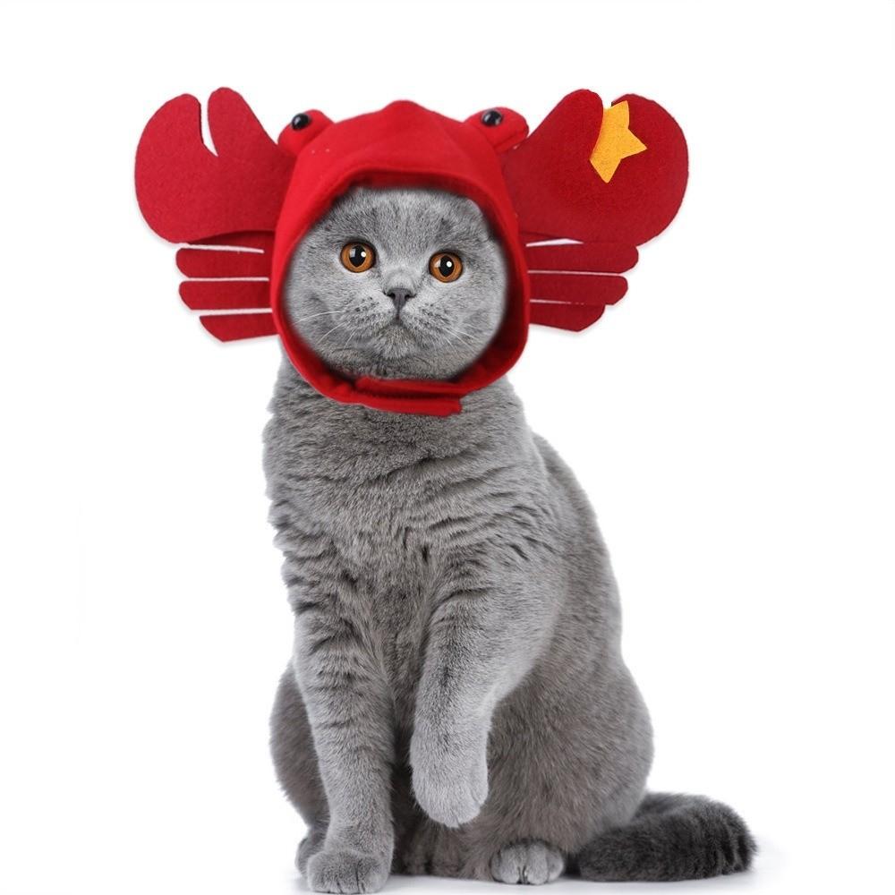 Soft Pet Hat Cute Dog Hat Pet Decorative Hat Cat Hat  Photo Taking