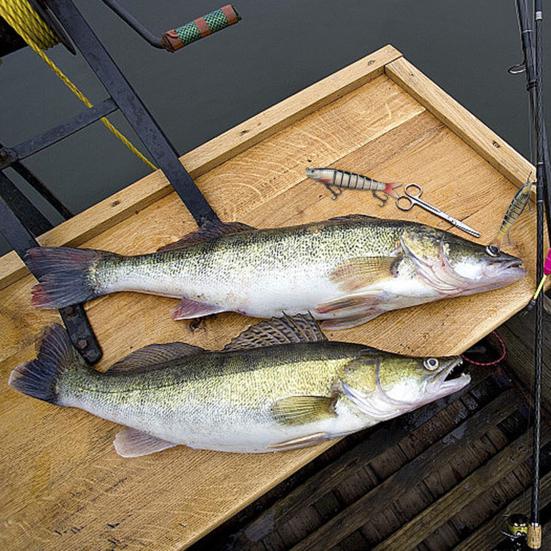 13.5CM/19G Multi-Jointed Fishing Lure with Hooks Slow Sinking 8-Section Swimbait Bionic Hard Artificial Bait Freshwater Saltwater Fishing Accessories