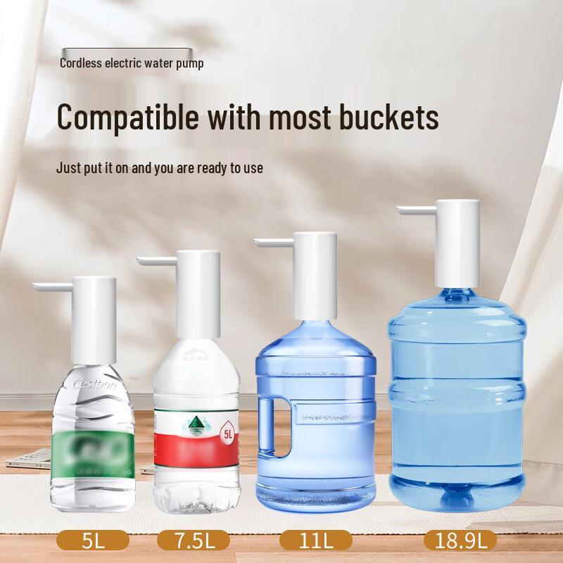 Jia Qi Electric Dual-Pump Bottle Water Dispenser