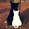 Cute Plush Soft Back Cat Shadow Toy Sofa Pillow Seat Cushion Birthday Gift