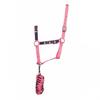 Hy Unicorn Magic Horse Headcollar and Leadrope