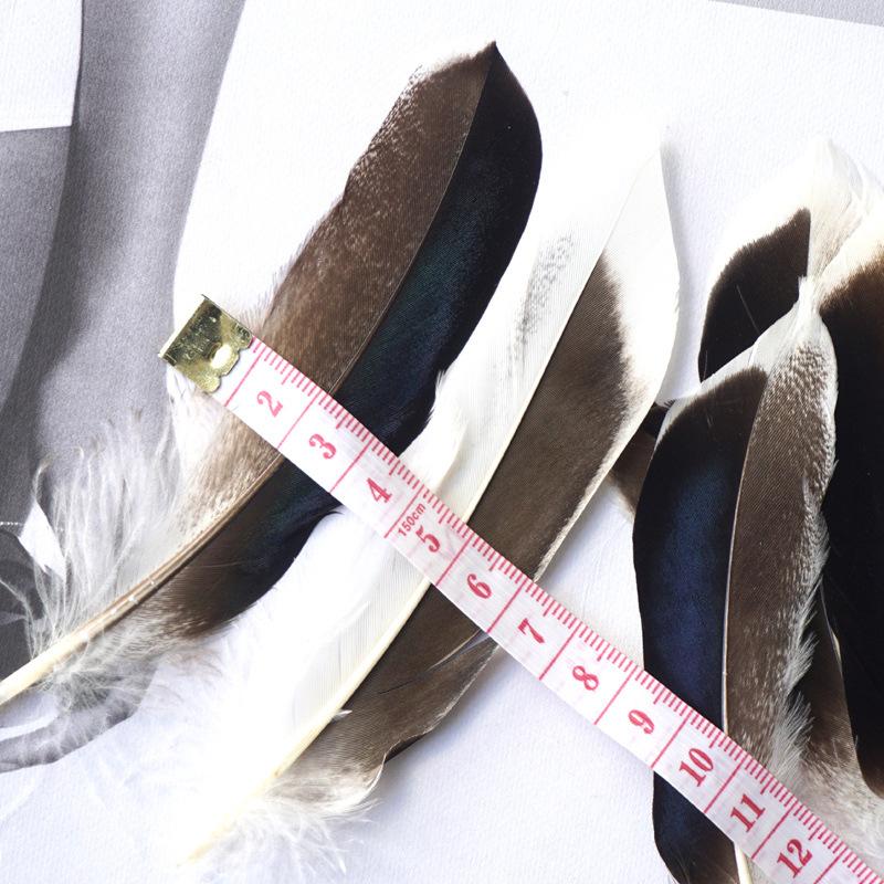 Original Color Pheasant Feathers ,Duck Emerald Feathers ,Handmade Crafts ,Indian Headdress Decoration Materials
