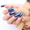 Nail Powder Glitter Set with Brushes Nail Decors Mirror Effect Chrome Metallic Nail Manicure Pigment Equipment Gel Nail Polish