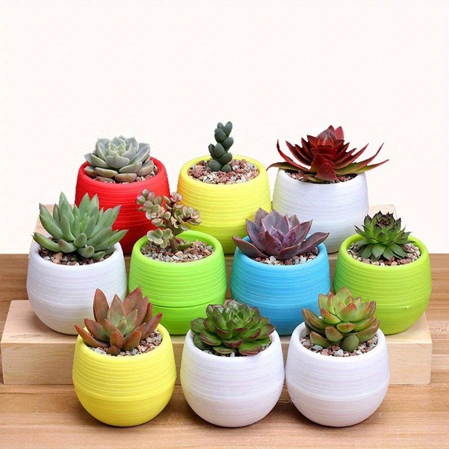 5/10/20pcs Mixed Color Mini Round Flower Pots with Removable Combiners Succulent Plant Nursery Pots for Balcony Office JXB