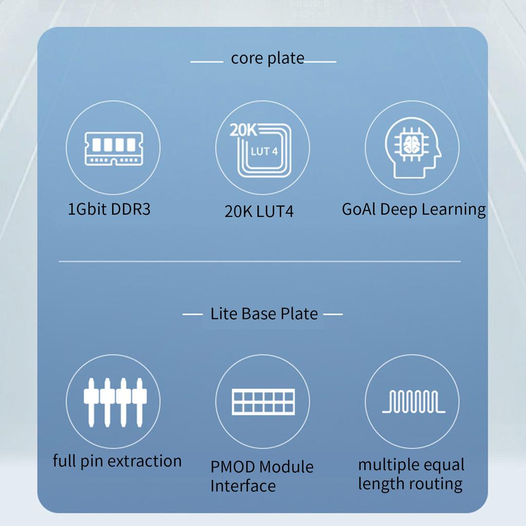Высокопроизводительная плата разработки FPGA Tang Primer 20K GOWIN GW2A FPGA GoAI — базовая плата обучения с комплектом отладчика RV