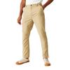 Regatta Mens Dalry Multi Pocket Trousers