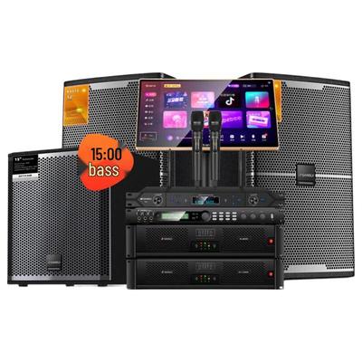 SANSUI KS512 Профессиональная KTV Караоке Акустическая Система (Китайская версия)