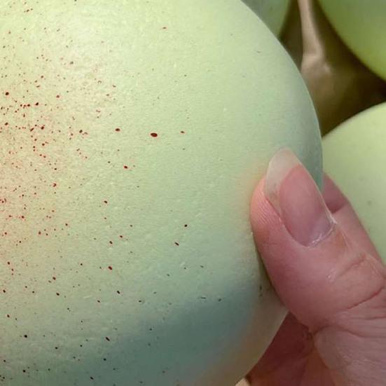 Игрушка для снятия стресса Мягкая в форме хлеба Игрушки для сжатия Тревожные фиджеты Медленно поднимающиеся игрушки в виде сыра Коллекция Подарки для детей