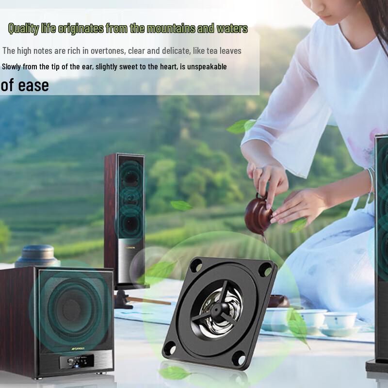 Домашняя KTV система объемного звука Sansui 60C с беспроводными микрофонами