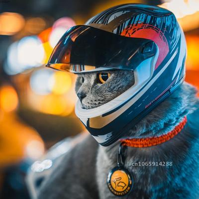 Фото Шлемы для питомцев, Шлем для кошки, Шлем для собаки - Наружный Мини-шлем для мотоцикла DIY, Мини-аксессуар-шляпа, Безопасный для защиты питомца