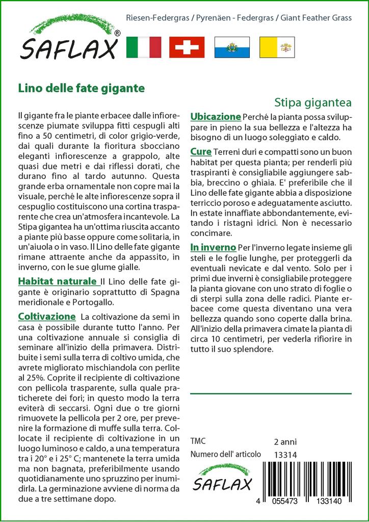 SAFLAX Garden in the Bag - Ковыль гигантский - 10 семян - С субстратом в подходящем пакете - Stipa gigantea