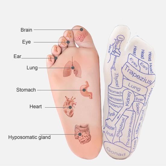 Набор носков для акупрессуры для рефлексологии стоп. Простые в использовании носки для акупрессуры с массажной палочкой. Таблица точек массажа ног. Инструменты для акупрессурного массажа.
