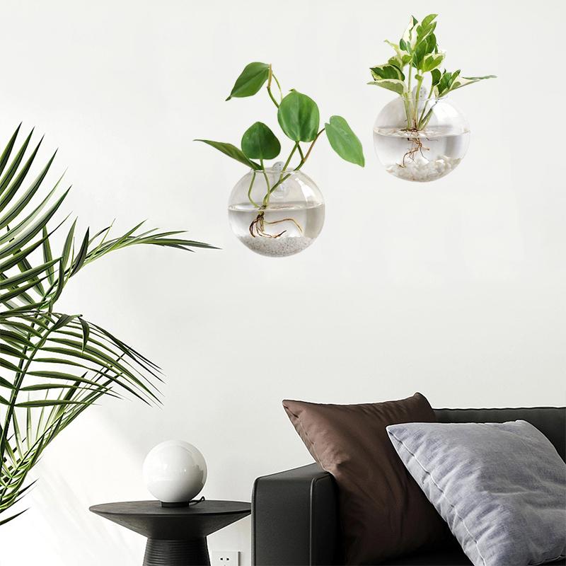 Полукруглая гидропонная настенная декоративная стеклянная ваза для офиса