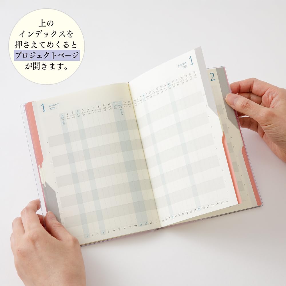 Midori Двойной расписание Light 22383006 Октябрьский планировщик, 2026, B6, Ежемесячный, Прогрессивный, Розовый, (Начинается в 2025)