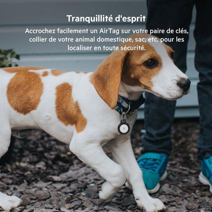 Аксессуары для телефона - BELKIN - Брелок с безопасным держателем Airtag, 2 шт. - Noir - Matériau Divers