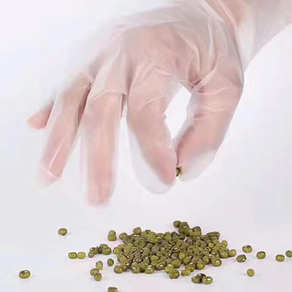 Boxed Removable Food Grade Disposable TPE Gloves