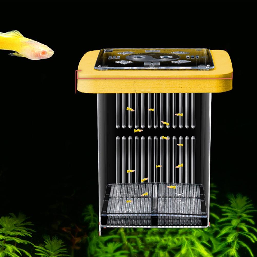 Permeable Floating Hatching Box Transparent Fish Tank Divider Mother Fish Incubator  For Small Fish