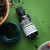 Lavender Essential Oil Organic 50ml