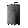 Портативный KTV усилитель Newsmy N520, 12 дюймов, Bluetooth, китайская вилка (адаптер в комплекте) (Китайская версия)
