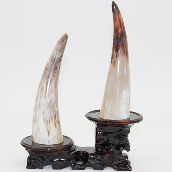 Natural Genuine Horn Ornaments Single Yellow Single Horn of Africa