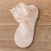 Women Anti skid Liner Summer Lace Socks Cotton Hosiery Boat Socks Low Cut